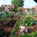 Detroit urban ag