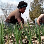 detroit urban ag 1