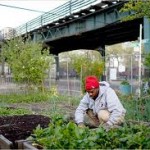 detroit urban ag 2