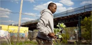 urban farmer