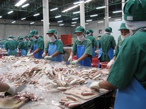 Vietnam Fish Processing