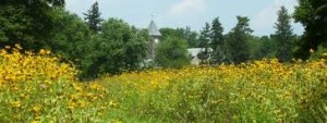duke farms