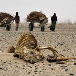 climate desertification