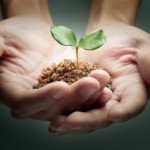 hands_sprout_iStock_7221140-300x213